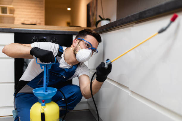 Trusted New Square, NY Pest Control Experts