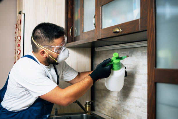 Flea Control Services in New Square, NY