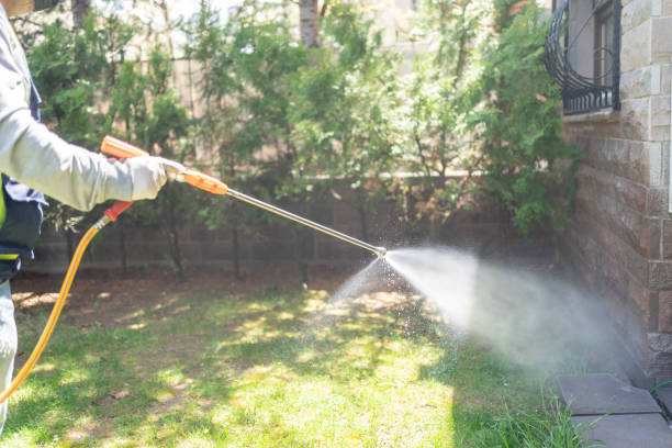 Best Emergency Pest Control  in New Square, NY