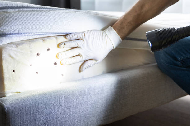 Best Exterminator Services  in New Square, NY