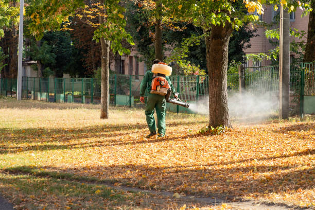 Best Termite Control Services  in New Square, NY