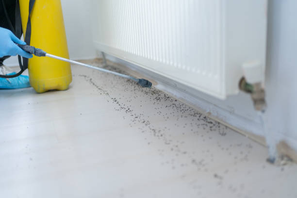 Best Pest Control Cost  in New Square, NY