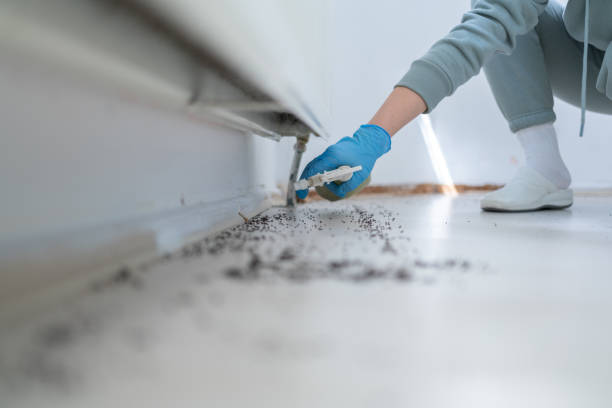 Best Best Pest Control Companies  in New Square, NY